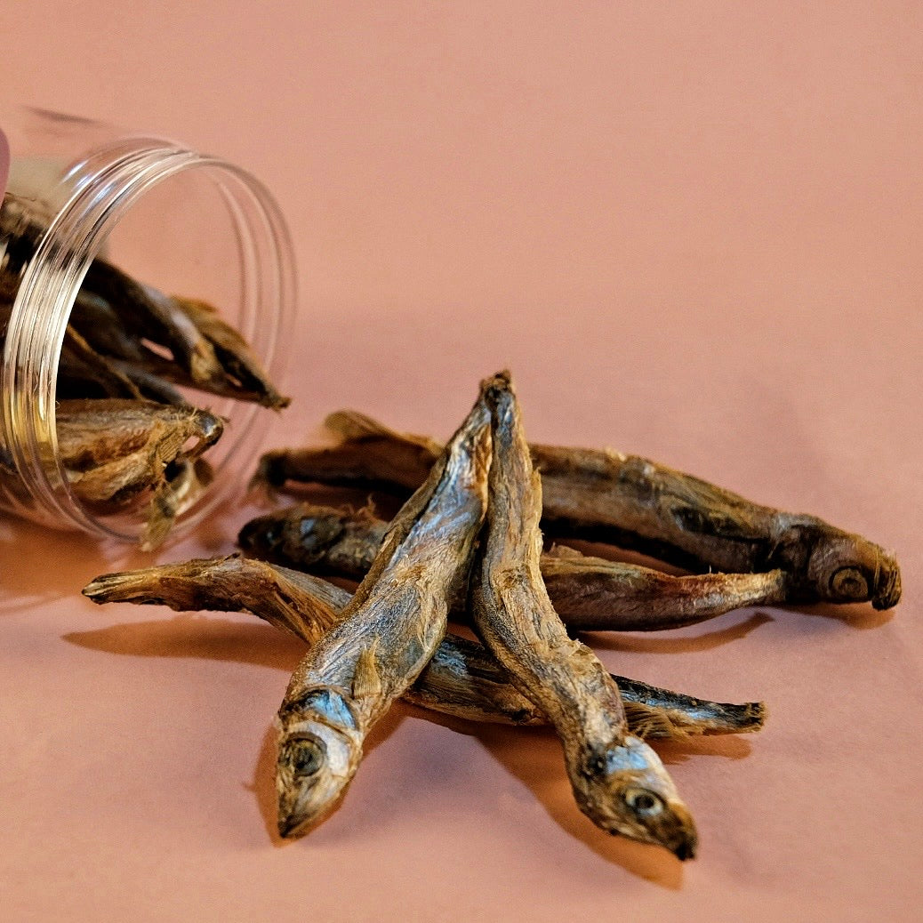 凍乾挪威多春魚 Freeze-Dried Capelins